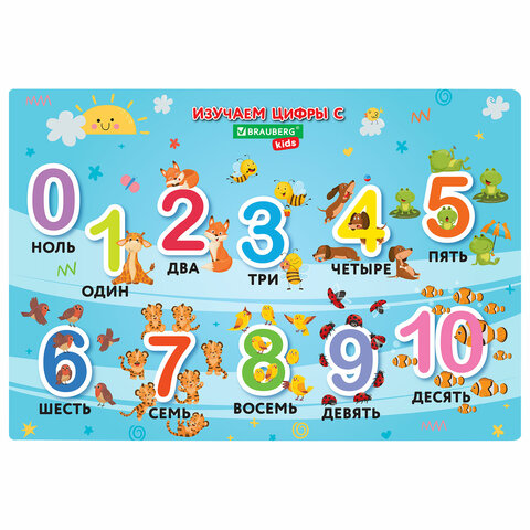   BRAUBERG KIDS     , , "Numbers", 5035 , 272361 