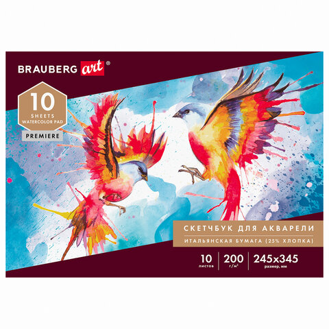   ,   200 /2 25%  245345 , 10 ., BRAUBERG ART PREMIERE, 105911 