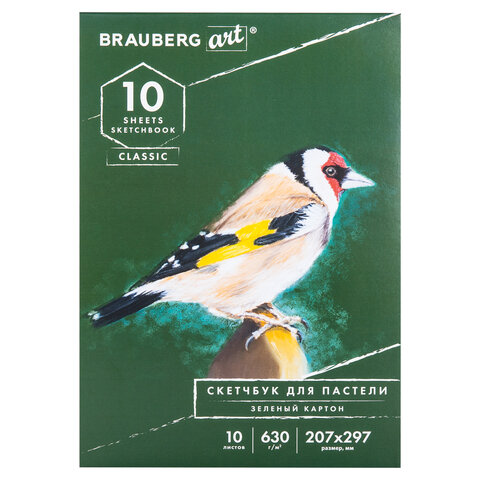   ,    630 /2, 207x297 , 10 ., BRAUBERG ART CLASSIC, 105920 