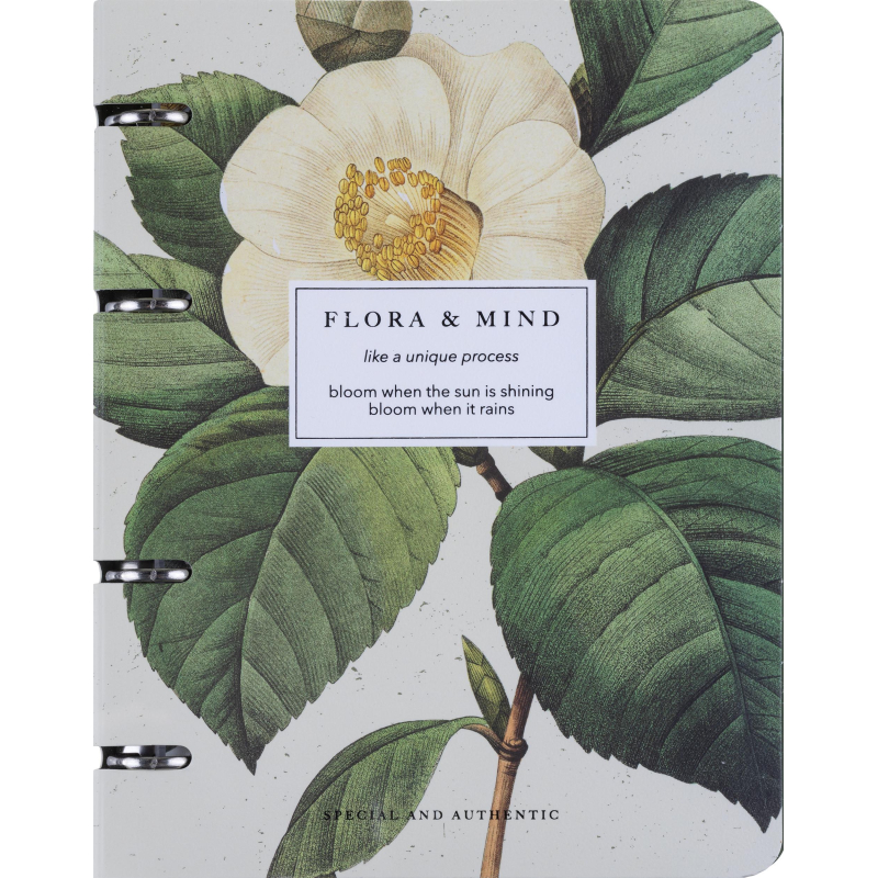  , BS, 5, 120., , , Flora,  N4758 