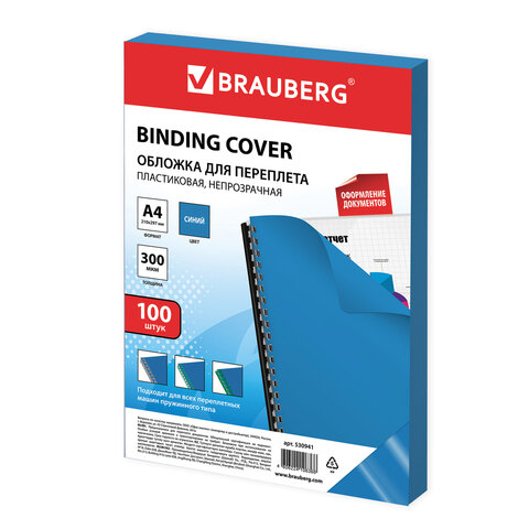    , 4,  100 ., 300 , , BRAUBERG, 530941 