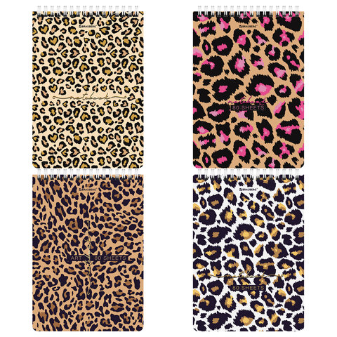  5 (146206 ), 80 ., , ,  , , BRAUBERG, "Leopard", 114383 