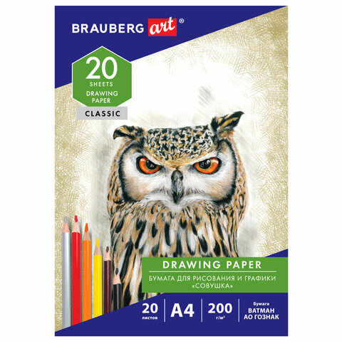        4, 20 ., 200 /2,  , BRAUBERG ART CLASSIC, 114492 