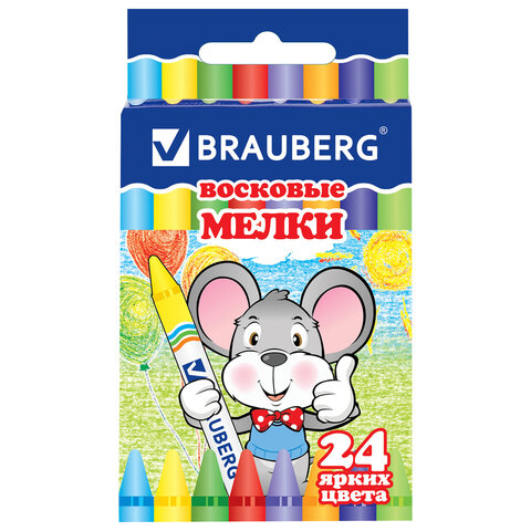   BRAUBERG,  24 , 222964 