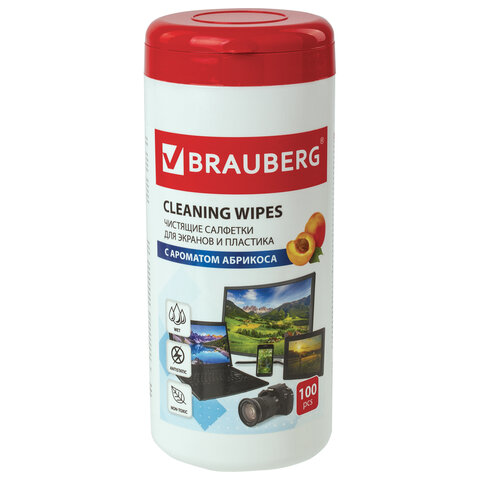        BRAUBERG   ,  100 ., , 513321 