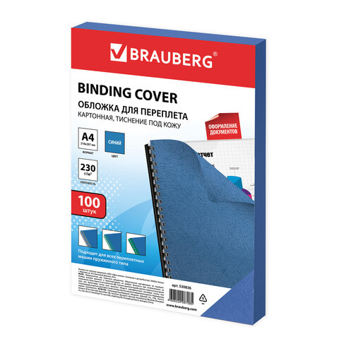    , 4,  100 .,   , 230 /2, , BRAUBERG, 530836 